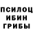 Галлюциногенные грибы MAGIC MUSHROOMS ZAM friends