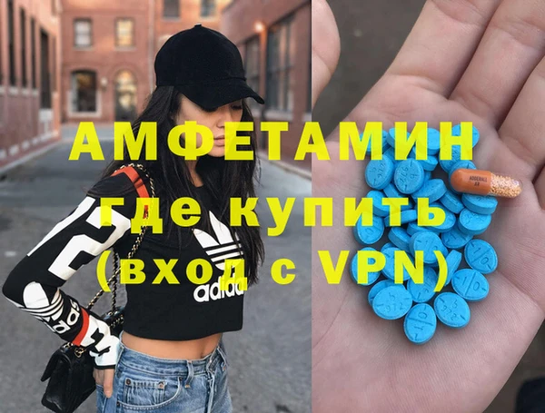 шишки Аркадак