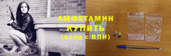 шишки Аркадак