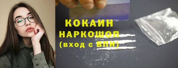 шишки Аркадак