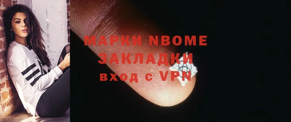 шишки Аркадак