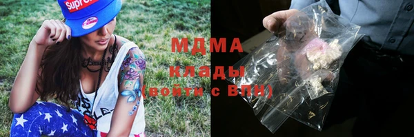 шишки Аркадак