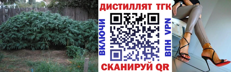 где купить   Судак  ТГК Wax 