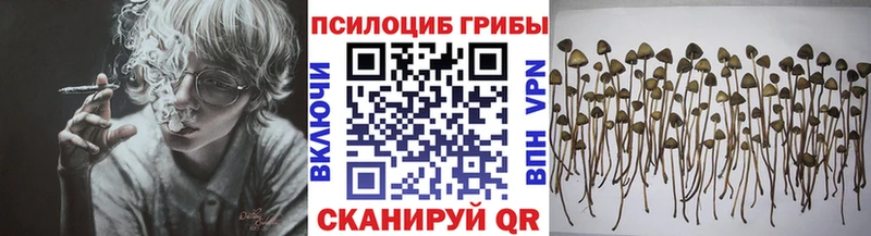 Галлюциногенные грибы мухоморы  Судак 